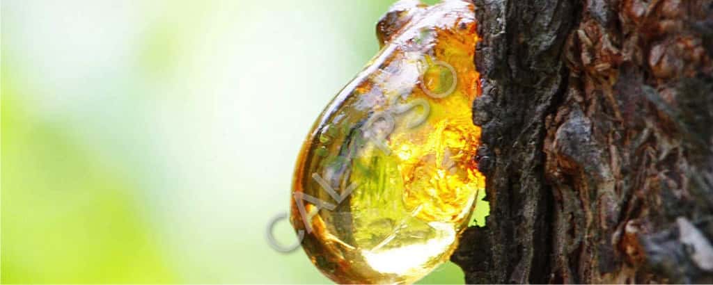 Amber Natural Oil